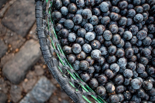 AÇAÍ IS A POTENT ANTI-INFLAMMATORY