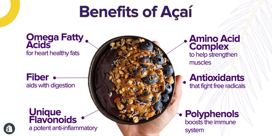 Exploring the Antitumor Effects of Acai on Prostate Cancer: A Focus on Bcl-2 Downregulation and Cytotoxicity