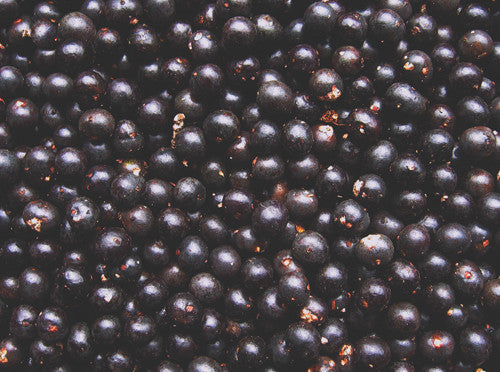 Acai Berry