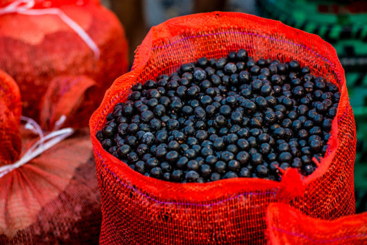 Açaí pulp
