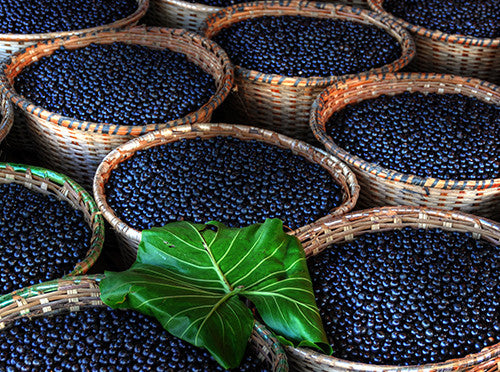 Acai Berry and its “Hidden Secrets”