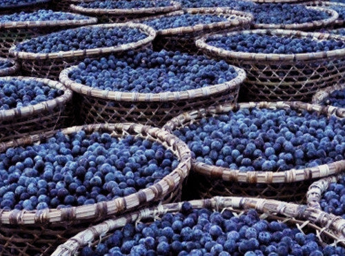 Acai Berry Detox