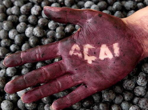 Is Acai Safe For Everyone
