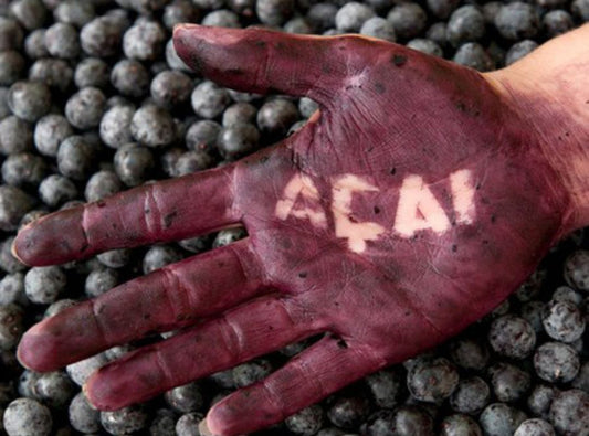 What is Açaí And Why Is It A Superfood?